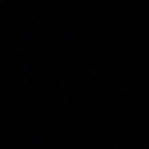 Meet your Posher, Cade